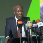 Opinion: Malema is right about one thing—Africa’s future depends on Africans