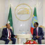 AU chairperson holds high-level talks on Africa’s representation in global financial institutions