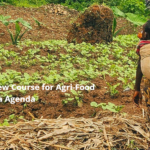 AU, IGAD push Africa’s agricultural agenda from declarations to implementation