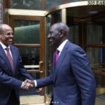 Africa moves to forge common climate position ahead of COP31 and COP32